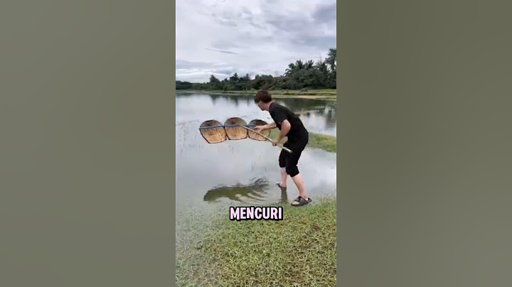 This Japanese Man Goes Viral! Catches Giant Fish in a Weird Way