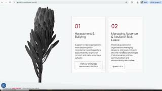 Levy Africa Network Website Design & Development