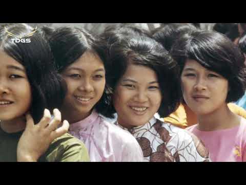 Video NẾU ĐỜI KHÔNG CÓ ANH, DỪNG BƯỚC GIANG HỒ | Hoàng... - youtube