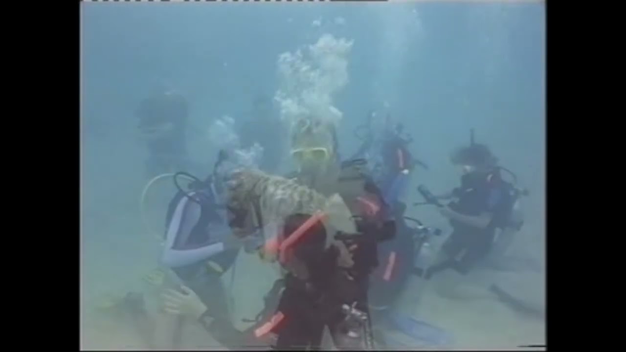 PADI Diving Course - Cairns - January 2002