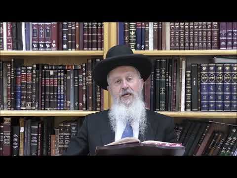 הגאון הרב אברהם יוסף שליט"א האם מותר להניח תבשיל על אש גלויה בשבת