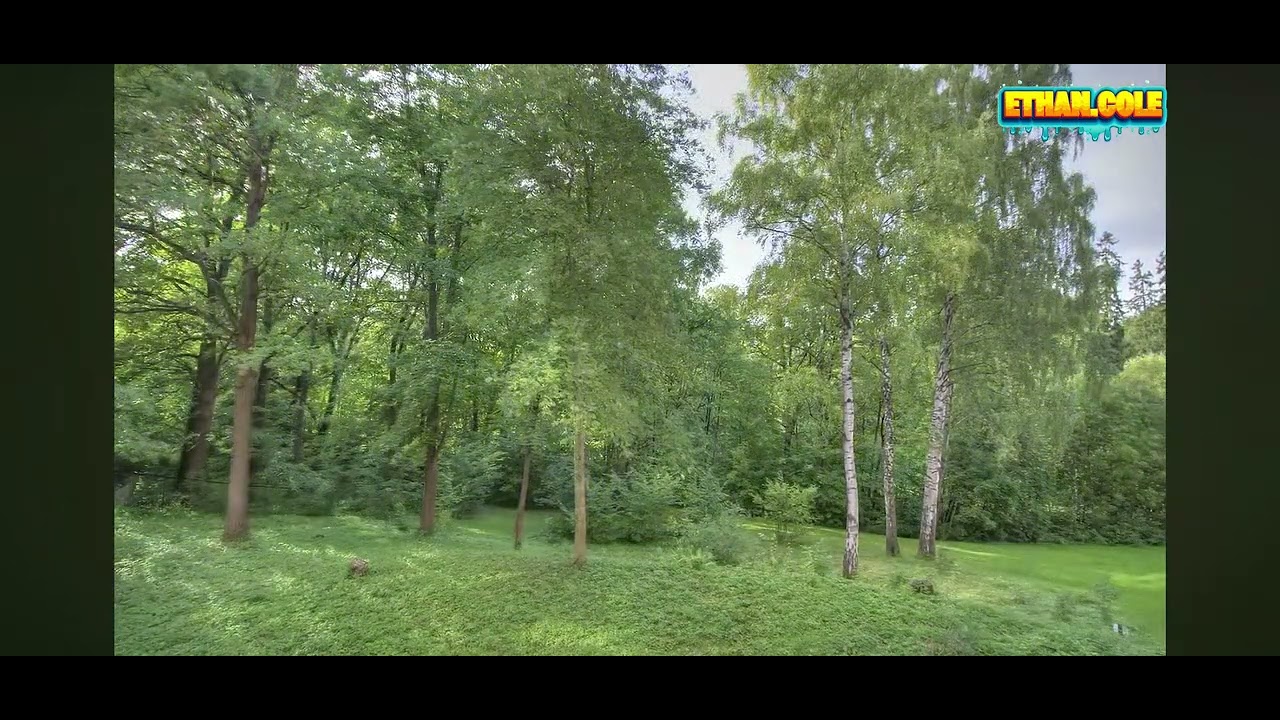 1 year in 41 seconds