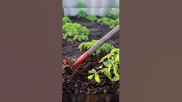 Best Tools to Remove Garden Weeds #diy #diygardening #weeding #shorts