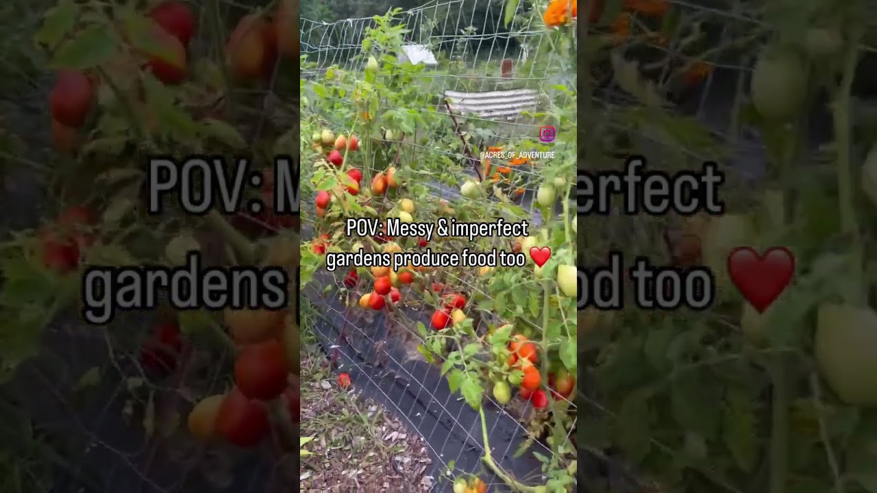Imperfect Gardens Produce Food