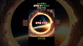 우리 우주가 거대한 블랙홀 속에 있다고? (블랙홀 우주론)