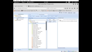 Kali Linux Tools (BeEF XSS Framework)