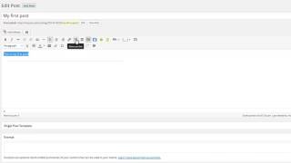 Understanding WordPress Visual Editor