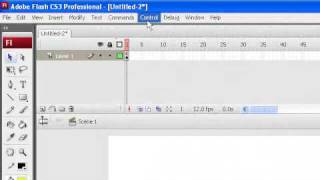Password in flash cs3