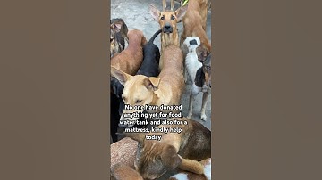 Please via our PayPal link in our bio to donate please 🙏