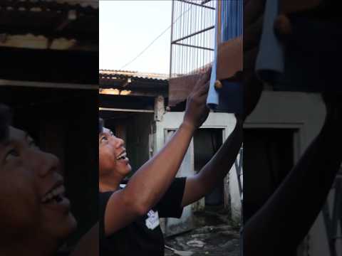 pejantan kenari usia 8 tahun. liputan peternak part 3