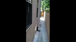 1842 N. Bouvier St., Unit A, Philadelphia, PA