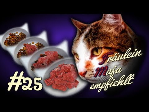 Video: Feline Hepatische Lipidose: Fettlebererkrankung bei Katzen