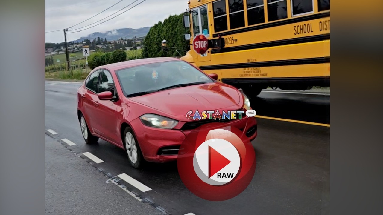Stopped school bus pass