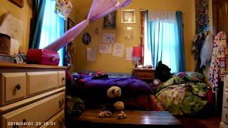 Stan the Panda Episode 1 season one.
