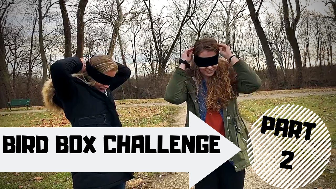 BIRD BOX CHALLENGE : PART 2