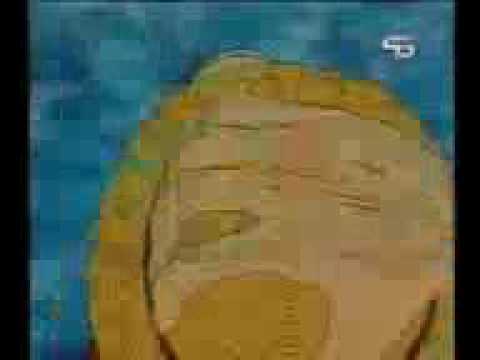 اغنية ون بيس الجزء 1 