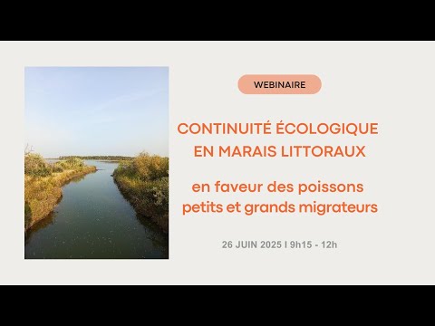 Webinaire - Continuité écologique piscicole en marais littoraux