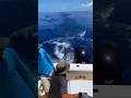 Swordfish crashes into fishing boat 낚시 보트로 뛰어든 황새치… 바다에 혼란이 몰아치다! カジキが漁船に衝突…海上は混乱に包まれる
