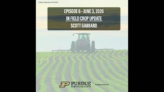 Coffee Break EP7: Shelby County Field Scouting & Crop Update