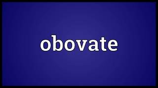 Obovate Meaning