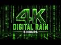 Matrix Digital Rain I Cyber Code | Relaxing Hacker Background &amp; Ambient Focus &amp; Screen Saver