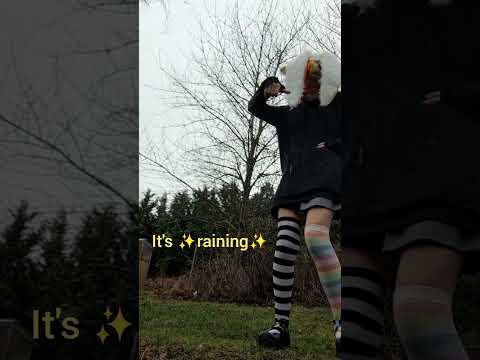 5 6 7 8 Dance With Me In My Backyard Boy 