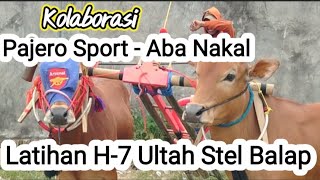Latihan Pajero Sport Gulbung Juni 2023.