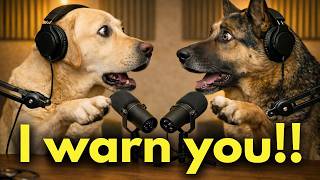 Your Dog Isnt Following You For The Reason You Think