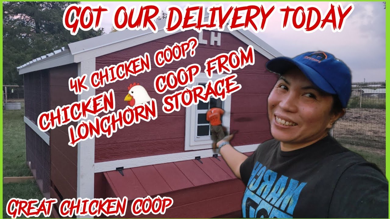 OUR DREAM CHICKEN COOP GREAT CHICKEN COOP FROM LONGHORN CARE