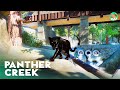 Black Panther Creek - Yosemite Valley Zoo - Planet Zoo Habitat Speedbuild