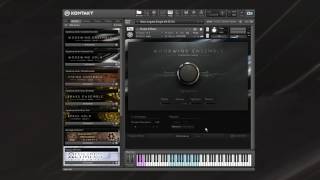 SYMPHONY SERIES - WOODWIND Using Effects | Native Instruments