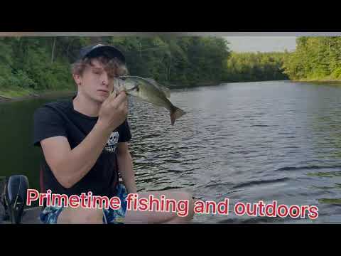 Crazy BASS Fishing!!!! Catching a lot of BASS!!!#bassfishing #alotofbass #doublecatch