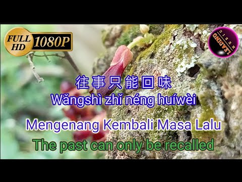 Wang shi zhi neng hui wei 往事只能回味 Mengenang masa lalu Translate Pinyin, Indonesian, English