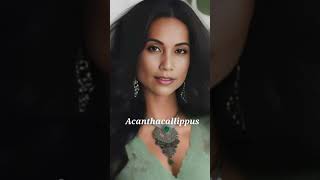 Download Lagu Untitled MP3