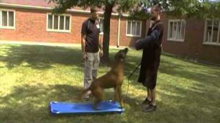 First Bark and Hold Session