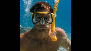 Treasure hunt among sharks #shorts