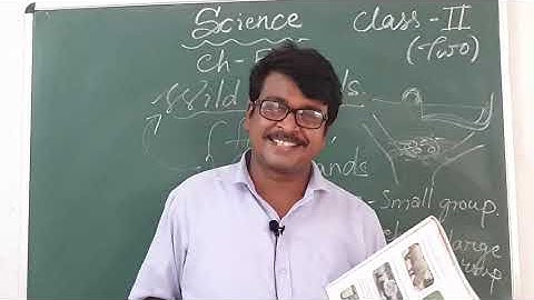 Class 2 Science Chapter 5 : Wild Animals