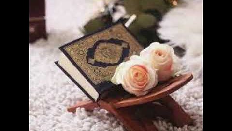 #تراويح عام 1443هـ | للقارئ: صهيب أشرف [الليلة الـ3]
