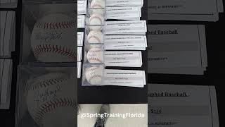 Checking out some autographs after the game 2025 Tampa Bay Rays Spring Training #mlb #rays