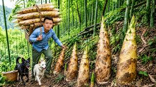 Relaxing Farm Life: Harvesting Wild Bamboo Shoots + Processing Bamboo & Market Day | Trieu Phong screenshot 5