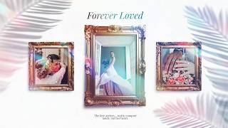 Wedding Golden Frame Gallery: Final Cut Pro template screenshot 2