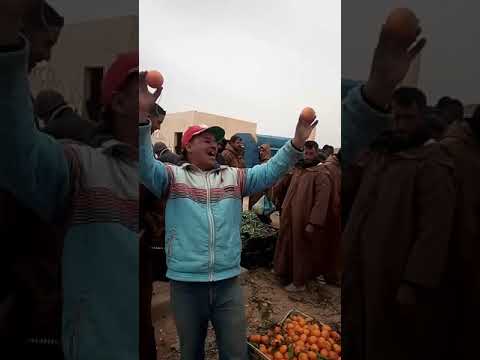 مسعد ولاية منتدبة