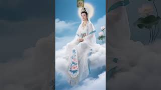 CÂU CHUYỆN THẤM THÍA  #yeucuocsong #loiphatday #trietlycuocsonghaynhat