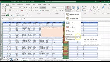Format Painter and Conditional Formatting in Excel