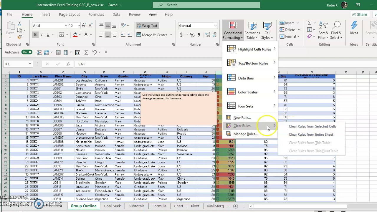 Format Painter and Conditional Formatting in Excel - YouTube