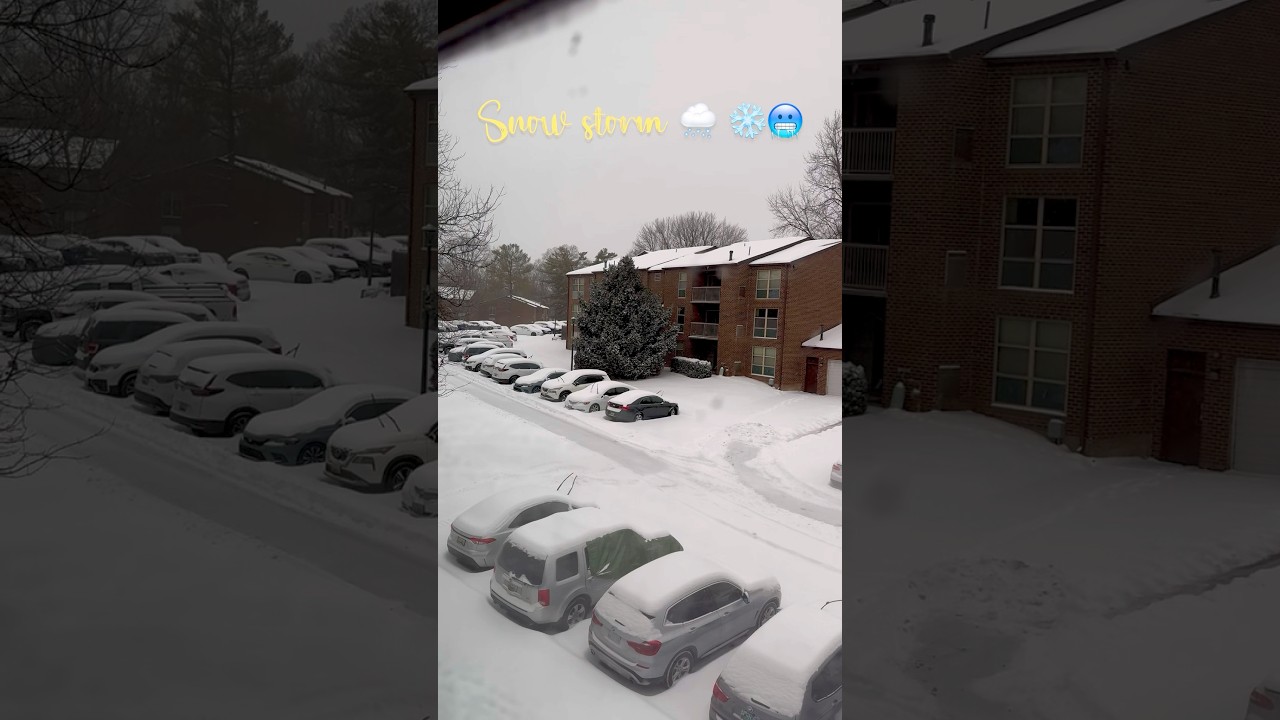 Snow storm 🌨️❄️🥶#snow #snowfall #snowstorm #snowstorms #mallugram #kerala  #malayalam #snowday