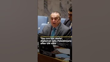 ‘You are not alone’, diplomat tells Palestinians after UN vote | AJ #shorts