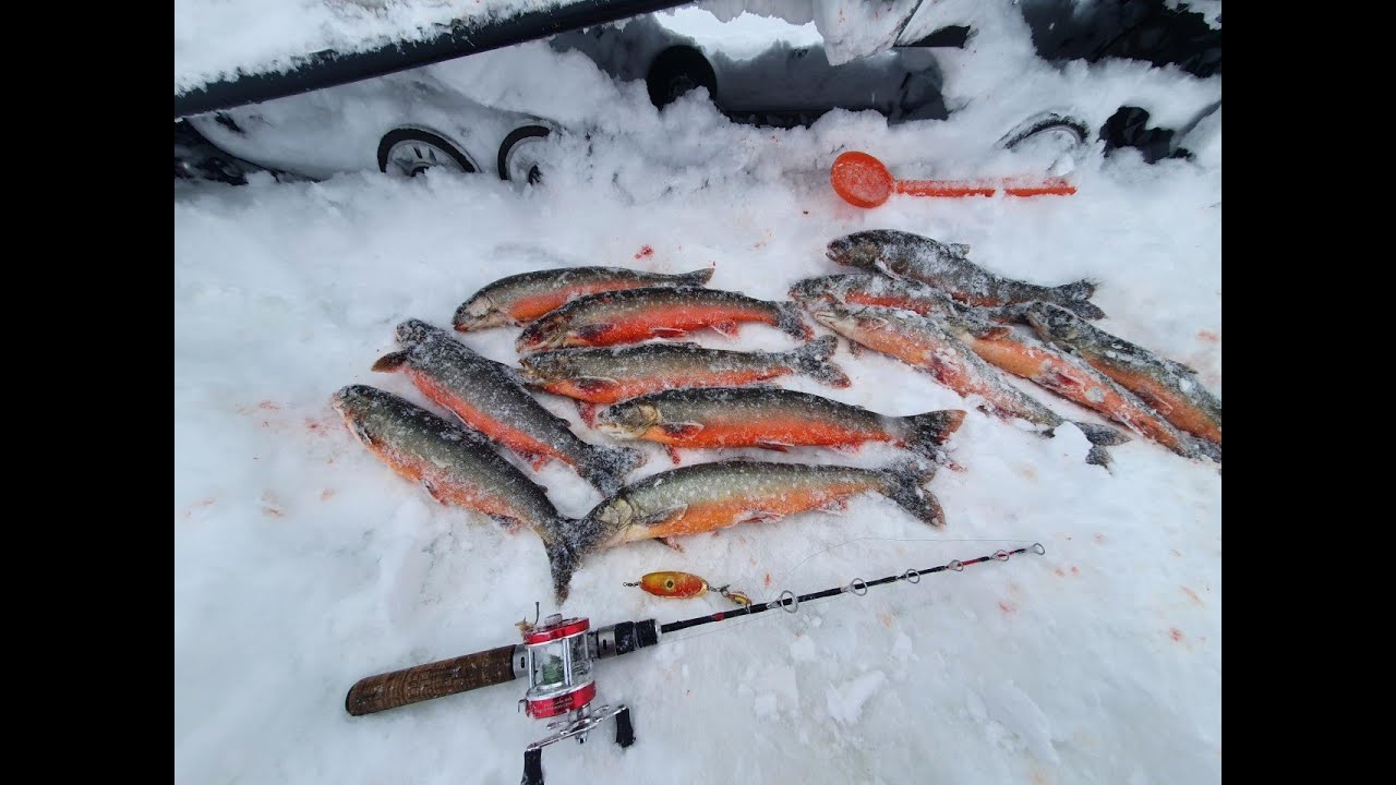 FISKEHELG VECKA 17 - Del 2 av 3 Fredag