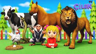 Hayvanlar Şarkısı Hayvan Seslerieğitici Ve Eğlenceli Çocuk Ve Bebek Şarkısı 🦁🐵 Çilek Tv