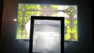 Fluval Edge Lautstärke CO2 Atomizer